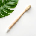 Compostable toothbrush with plant based handle Royalty Free Stock Photo