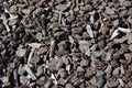 Composted bark garden mulch Royalty Free Stock Photo