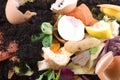 Composting Royalty Free Stock Photo