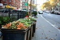 Composting bins on a city street. An urban composting program.