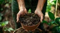 Composting for Garden Nutrient Boost