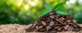 Composting Manure Eco-Friendly Methods for Natural Fertilizers Discover sustainable and efficient techniques for creating nutrient