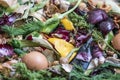 Composting pile of rotting kitchen scraps Royalty Free Stock Photo