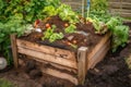 composting system in garden, with worms and other earthworms visible Royalty Free Stock Photo