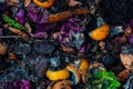 Composting vegetable and fruit scraps, looking down