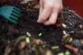 Composting Royalty Free Stock Photo