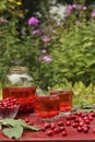 Compote with dogwood in two transparent glasses and jar on a red wooden table on the garden, Vertical format, Copy space