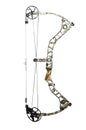 Compound bow Royalty Free Stock Photo