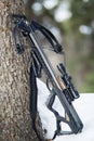 Compound Crossbow with Hunting Arrow against Tree