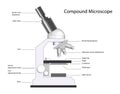 Compound Microscope Royalty Free Stock Photo