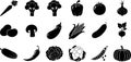 Fresh Vegetables Black Silhouettes Collection on White Background Royalty Free Stock Photo