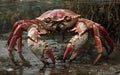 A Comprehensive Guide for Aquarists -Generative ai