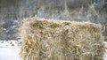 Compressed haystack. Footage. Rectangel pressed haystack on background of gray walls and snow. Haystack in snow, feeding