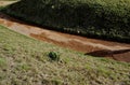 compressing the gravel of the new park threshing path. lawn seed is