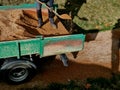 compressing the gravel of the new park threshing path. lawn seed is