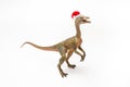 Compsognathus  Dinosaur with Christmas hat on white background Royalty Free Stock Photo