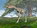 Compsognathus dinosaur - 3D render Royalty Free Stock Photo