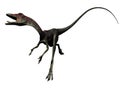 Compsognathus Dinosaur - 3d Render