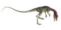 Compsognathus dinosaur roaring - 3D render