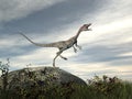 Compsognathus dinosaur standing on a rock - 3D render