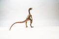 Compsognathus Dinosaur on white background Royalty Free Stock Photo