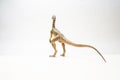 Compsognathus Dinosaur on white background Royalty Free Stock Photo
