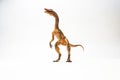 Compsognathus Dinosaur on white background Royalty Free Stock Photo