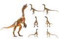 Compsognathus  Dinosaur on white background Royalty Free Stock Photo