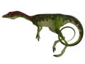 Compsognathus Side Profile Royalty Free Stock Photo