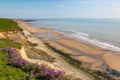 Compton Bay Royalty Free Stock Photo