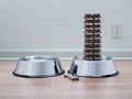 Compulsively stacked dog biscuits in metal pet food bowl with water bowl Royalty Free Stock Photo