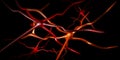 Computer artwork of nerve cells