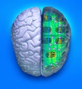 Computer Science Brain Technology Royalty Free Stock Photo