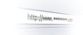 Computer browser address bar