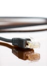 Computer cable with reflection Royalty Free Stock Photo