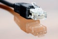 Computer cable with reflection Royalty Free Stock Photo