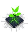A computer chip forms the base for a stylized green plant Royalty Free Stock Photo