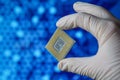 Computer chip in hands. A chipset is a set of electronic component that is integrated and flows data between the processor. Royalty Free Stock Photo
