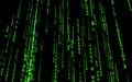 Computer code falling matrix style. Royalty Free Stock Photo