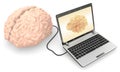 Computer connected to a human brain