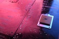 Computer cpu processor chip on circuit board ,motherboard background. Close-up. With red-blue lighting Royalty Free Stock Photo