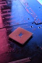 Computer cpu processor chip on circuit board ,motherboard background. Close-up. With red-blue lighting Royalty Free Stock Photo