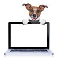 Computer dog Royalty Free Stock Photo