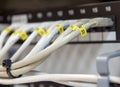 Computer ethernet data lan cables in a row. Royalty Free Stock Photo