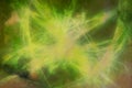 Abstract Green Grunge Light Streaks Background