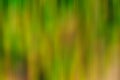 Abstract Green And Yellow Vertical Motion Blur Background