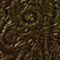 Brown seamless alien skin texture