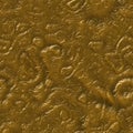 Brown seamless alien skin texture