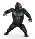 Angry gorilla against a white background Royalty Free Stock Photo