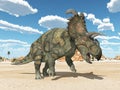 Dinosaur Albertaceratops in a desert landscape